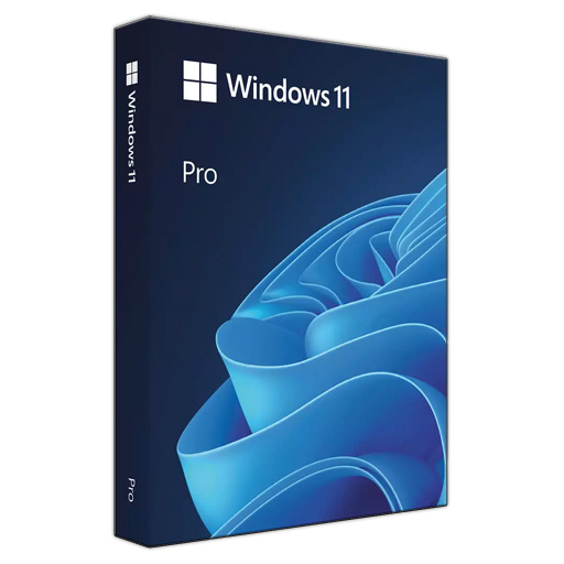 License Windows 11 Pro