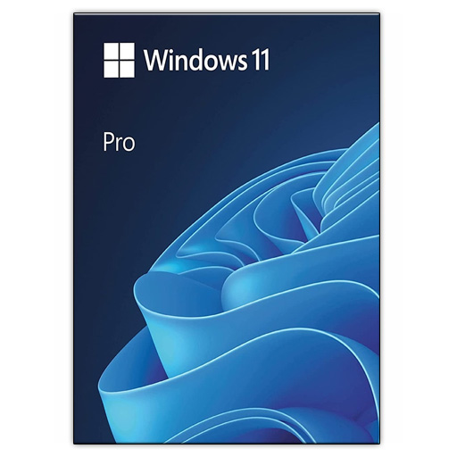 Windows 11 Profesional MSDN
